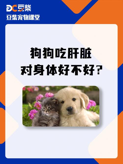 狗狗吃什么肝脏比较好,狗狗吃哪种内脏比较好-第5张图片-后鲨宠物 狗狗吃什么肝脏比较好,狗狗吃哪种内脏比较好-第5张图片-后鲨宠物