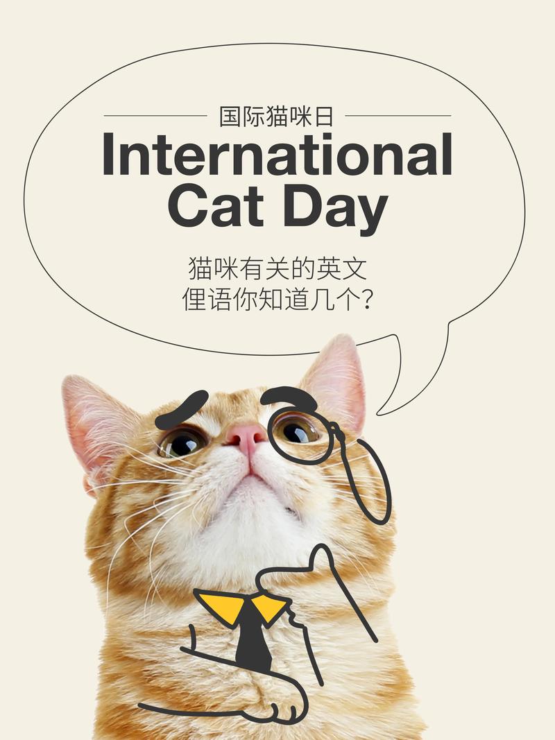 猫咪英文名字大全可爱_猫咪英文名字大全可爱水果-第3张图片-后鲨宠物 猫咪英文名字大全可爱_猫咪英文名字大全可爱水果-第3张图片-后鲨宠物