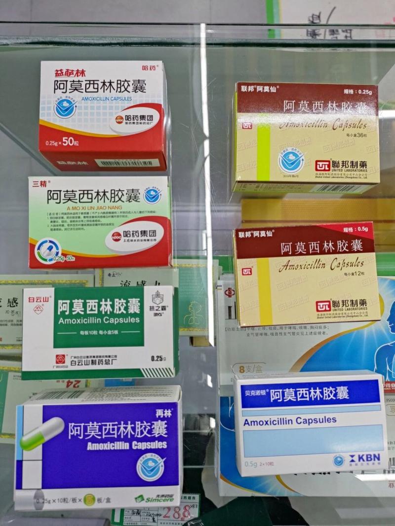 阿莫西林狗狗的用量_阿莫西林狗狗的用量40斤的狗-第5张图片-后鲨宠物 阿莫西林狗狗的用量_阿莫西林狗狗的用量40斤的狗-第5张图片-后鲨宠物