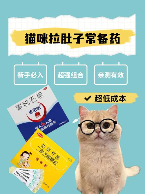  小猫咪拉稀吃什么药，小猫咪拉稀吃什么药都不见好怎么办