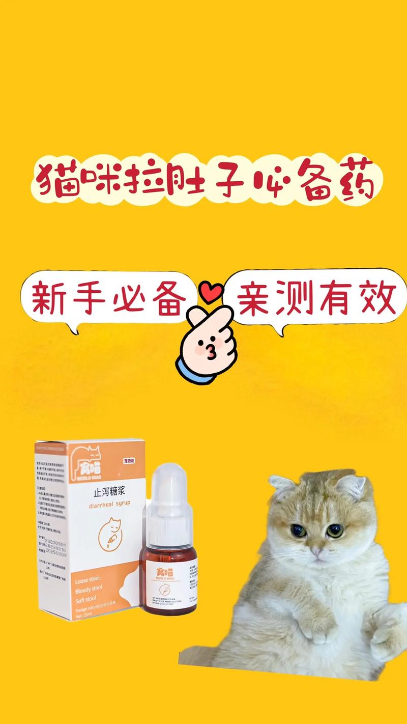 小猫咪拉稀吃什么药，小猫咪拉稀吃什么药都不见好怎么办-第2张图片-后鲨宠物