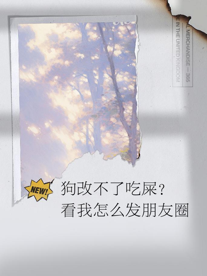 狗狗吃自己的屎怎么办_狗吃自己的屎 是什么病-第3张图片-后鲨宠物 狗狗吃自己的屎怎么办_狗吃自己的屎 是什么病-第3张图片-后鲨宠物