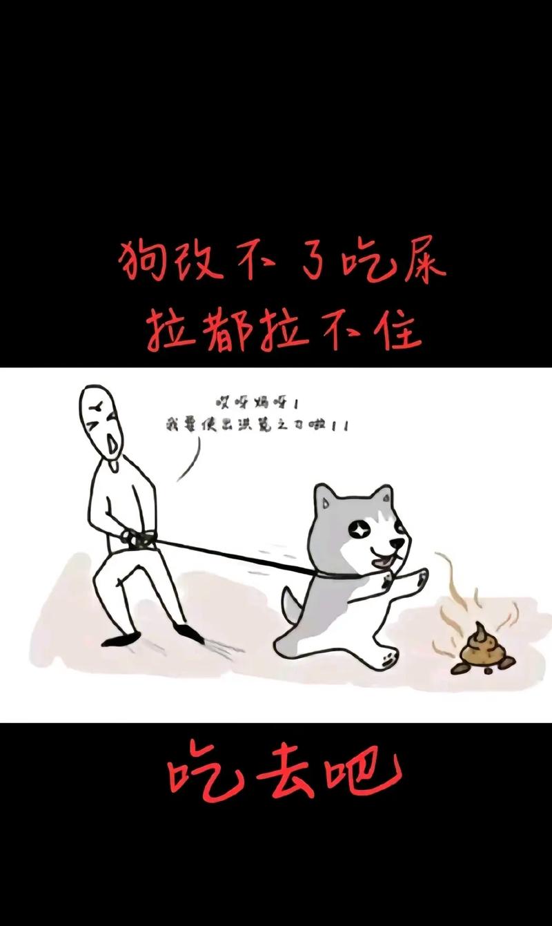 狗狗吃自己的屎怎么办_狗吃自己的屎 是什么病-第4张图片-后鲨宠物 狗狗吃自己的屎怎么办_狗吃自己的屎 是什么病-第4张图片-后鲨宠物