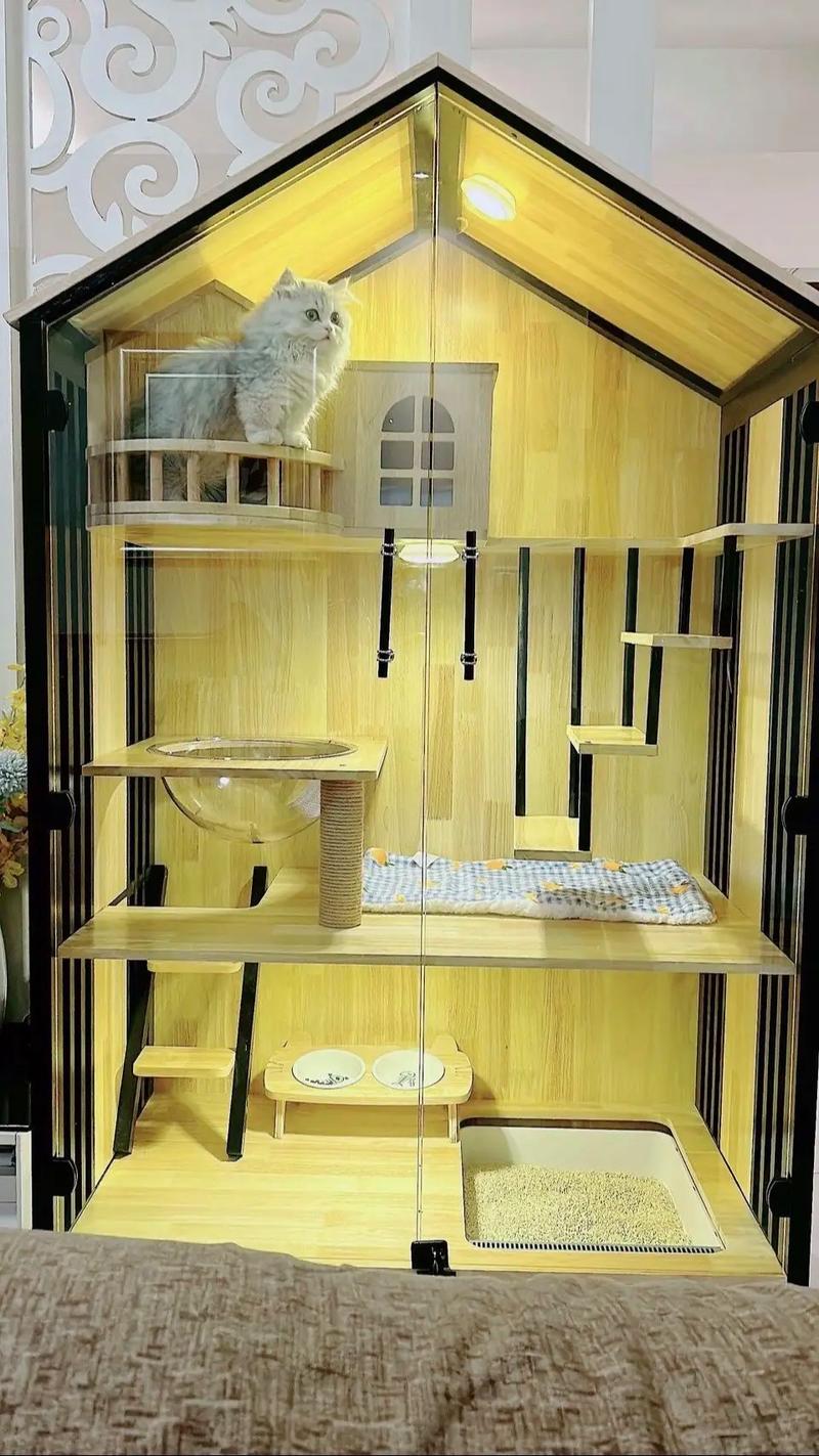  猫咪不进猫窝怎么办，让猫睡猫窝的绝招-第3张图片-后鲨宠物