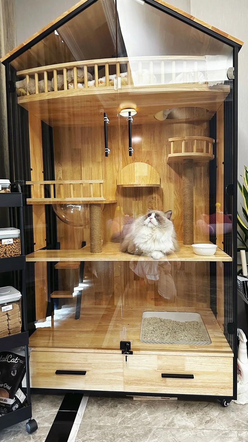  猫咪不进猫窝怎么办，让猫睡猫窝的绝招-第5张图片-后鲨宠物