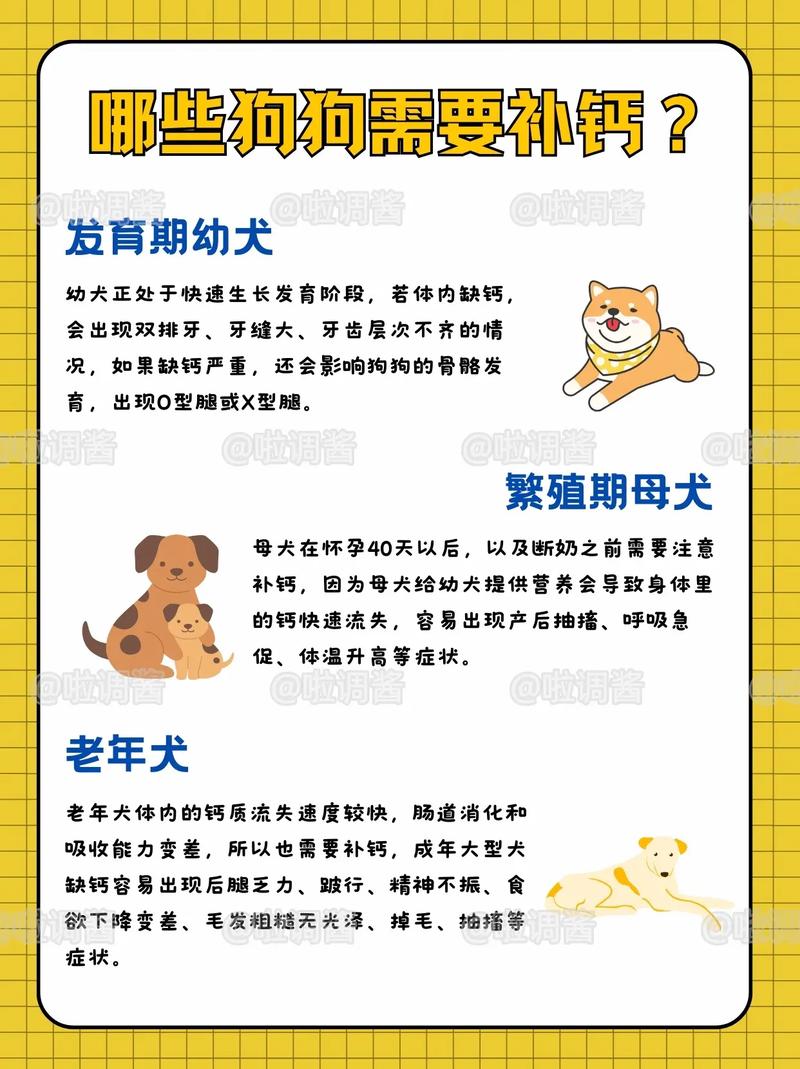 狗狗多大可以吃钙片,狗狗多大可以吃钙片维生素-第5张图片-后鲨宠物 狗狗多大可以吃钙片,狗狗多大可以吃钙片维生素-第5张图片-后鲨宠物