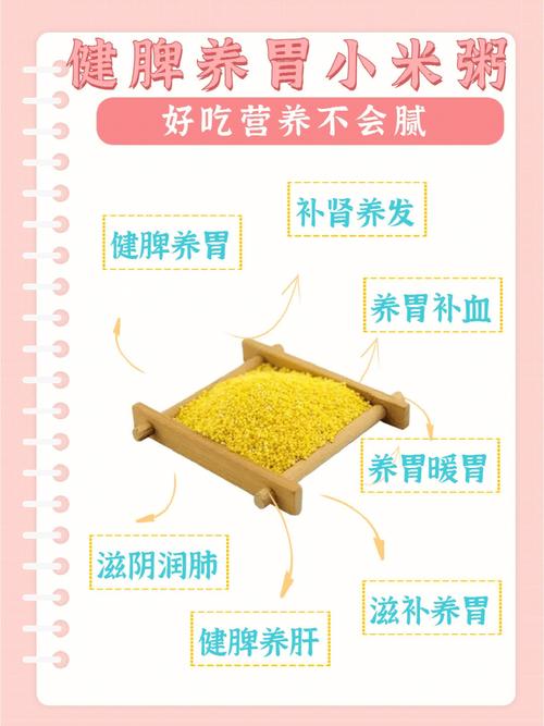  猫咪可以吃小米粥吗，猫咪可以吃小米粥吗