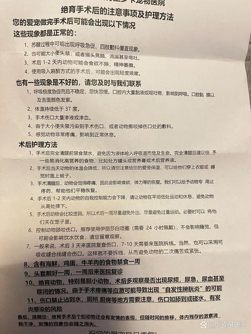 狗狗绝育注意事项_狗狗绝育注意事项和饮食
