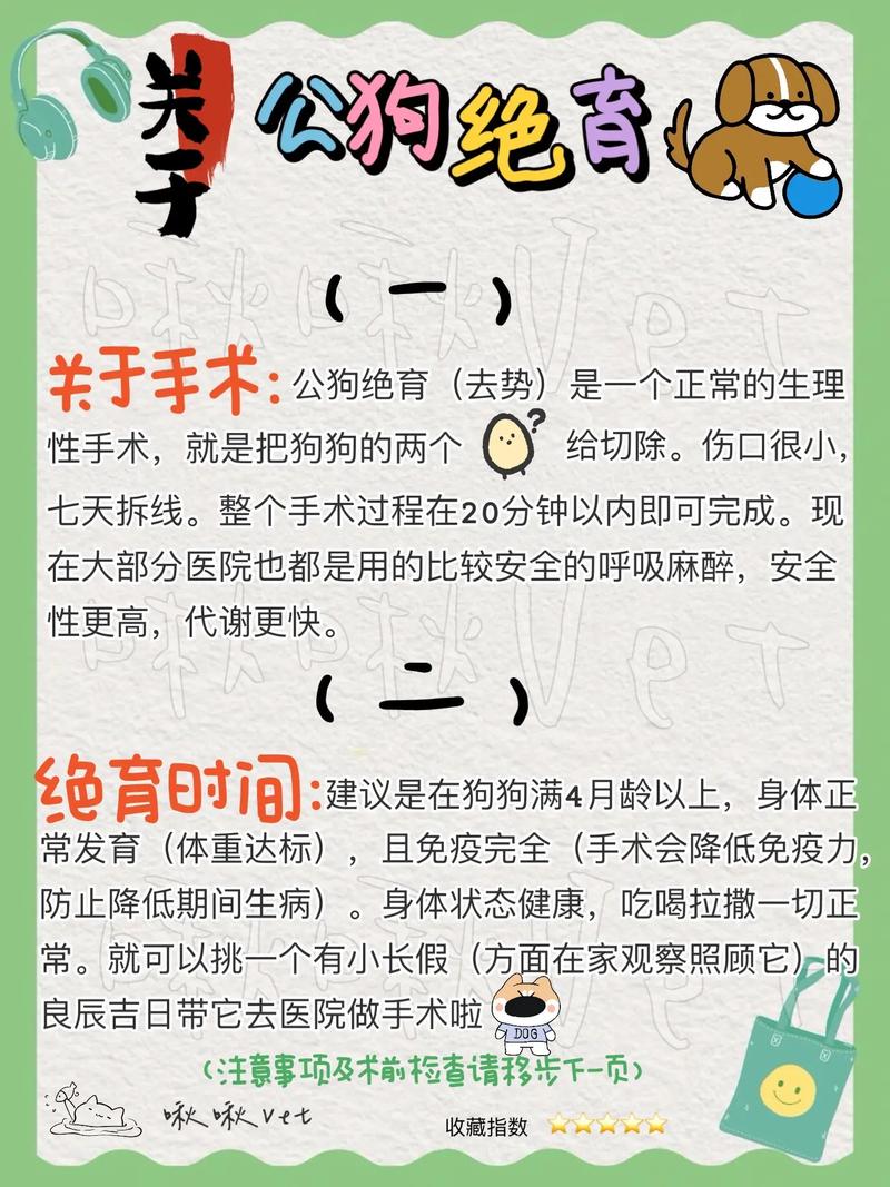 狗狗绝育注意事项_狗狗绝育注意事项和饮食-第3张图片-后鲨宠物 狗狗绝育注意事项_狗狗绝育注意事项和饮食-第3张图片-后鲨宠物