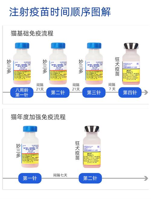 猫咪三联疫苗多少钱，猫的三联疫苗多少钱一针？-第4张图片-后鲨宠物