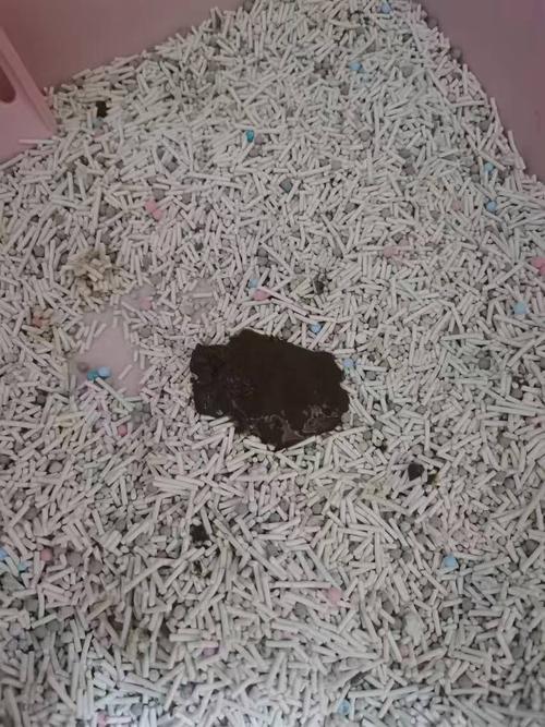 猫咪拉稀没精神，猫咪拉稀没精神是怎么回事？-第4张图片-后鲨宠物