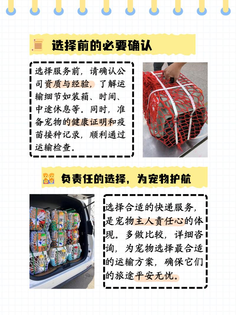  猫咪怎么寄快递，猫狗怎么寄快递-第2张图片-后鲨宠物