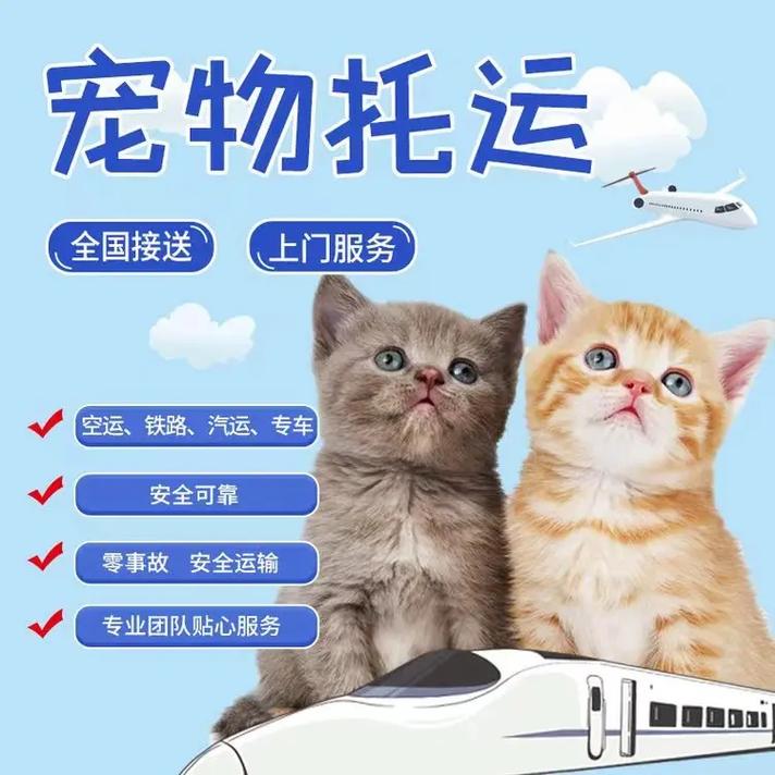  猫咪怎么寄快递，猫狗怎么寄快递-第4张图片-后鲨宠物