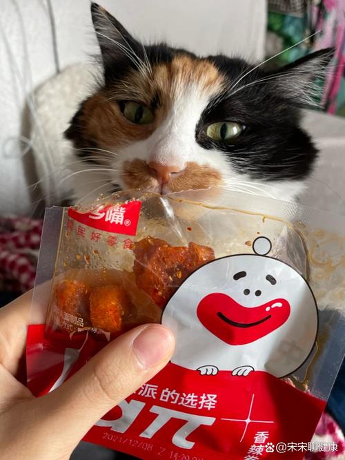 猫咪能吃辣条吗_猫咪能吃辣条吗为什么-第1张图片-后鲨宠物 猫咪能吃辣条吗_猫咪能吃辣条吗为什么-第1张图片-后鲨宠物