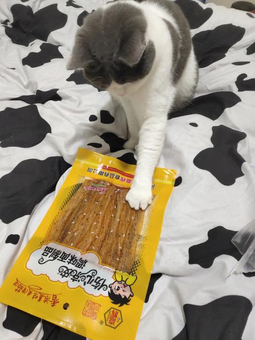猫咪能吃辣条吗_猫咪能吃辣条吗为什么-第4张图片-后鲨宠物 猫咪能吃辣条吗_猫咪能吃辣条吗为什么-第4张图片-后鲨宠物
