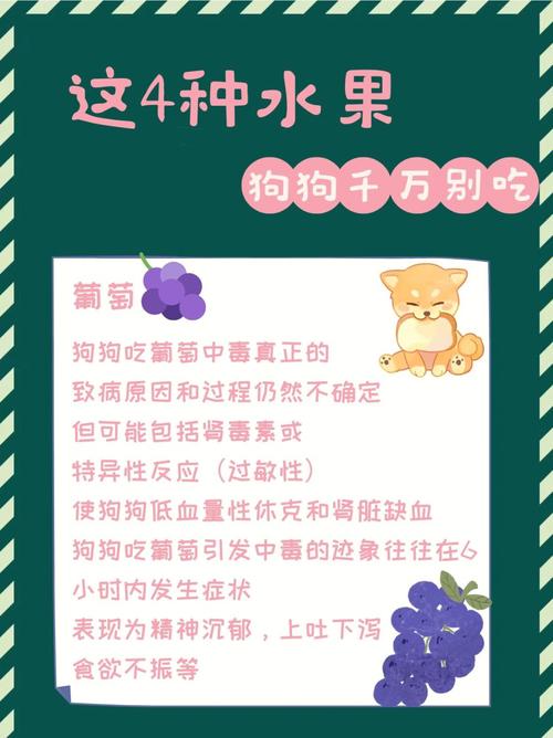 狗狗能吃火龙果吗_狗狗能吃火龙果吗 泰迪-第1张图片-后鲨宠物 狗狗能吃火龙果吗_狗狗能吃火龙果吗 泰迪-第1张图片-后鲨宠物