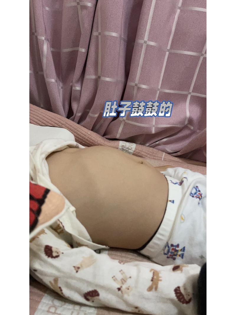 猫咪生完肚子还是很大,猫咪生完肚子还是鼓鼓的?-第4张图片-后鲨宠物 猫咪生完肚子还是很大,猫咪生完肚子还是鼓鼓的?-第4张图片-后鲨宠物