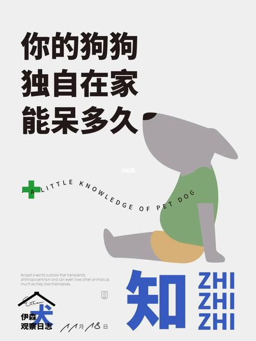 狗狗独自在家能呆几天，狗狗独自在家能呆几天啊？-第5张图片-后鲨宠物