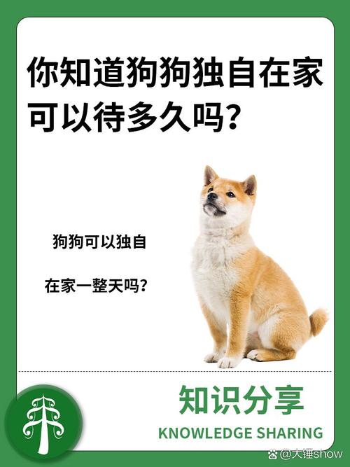 狗狗独自在家能呆几天，狗狗独自在家能呆几天啊？-第6张图片-后鲨宠物