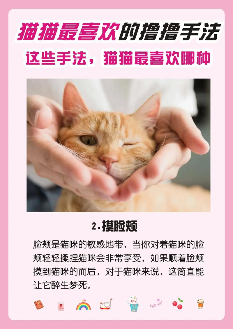 怎么帮助猫咪生产_怎么帮助猫咪生产按摩-第2张图片-后鲨宠物