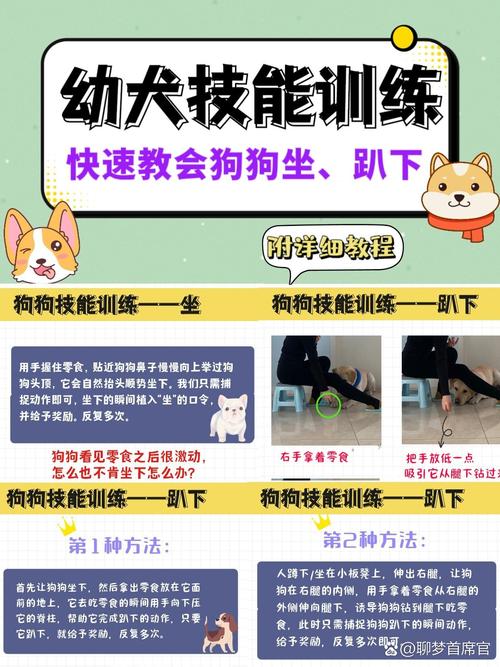 怎么教狗狗趴下_怎么教狗狗趴着-第5张图片-后鲨宠物 怎么教狗狗趴下_怎么教狗狗趴着-第5张图片-后鲨宠物