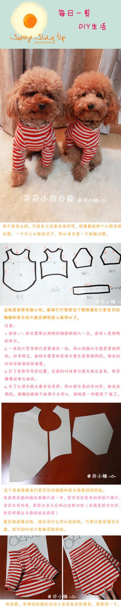 最简单的狗狗衣服做法_狗狗衣服制作-第3张图片-后鲨宠物 最简单的狗狗衣服做法_狗狗衣服制作-第3张图片-后鲨宠物