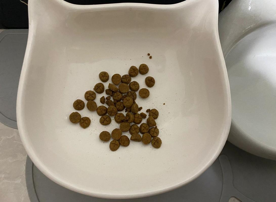 猫咪不喜欢吃猫粮_猫咪不喜欢吃猫粮的表现