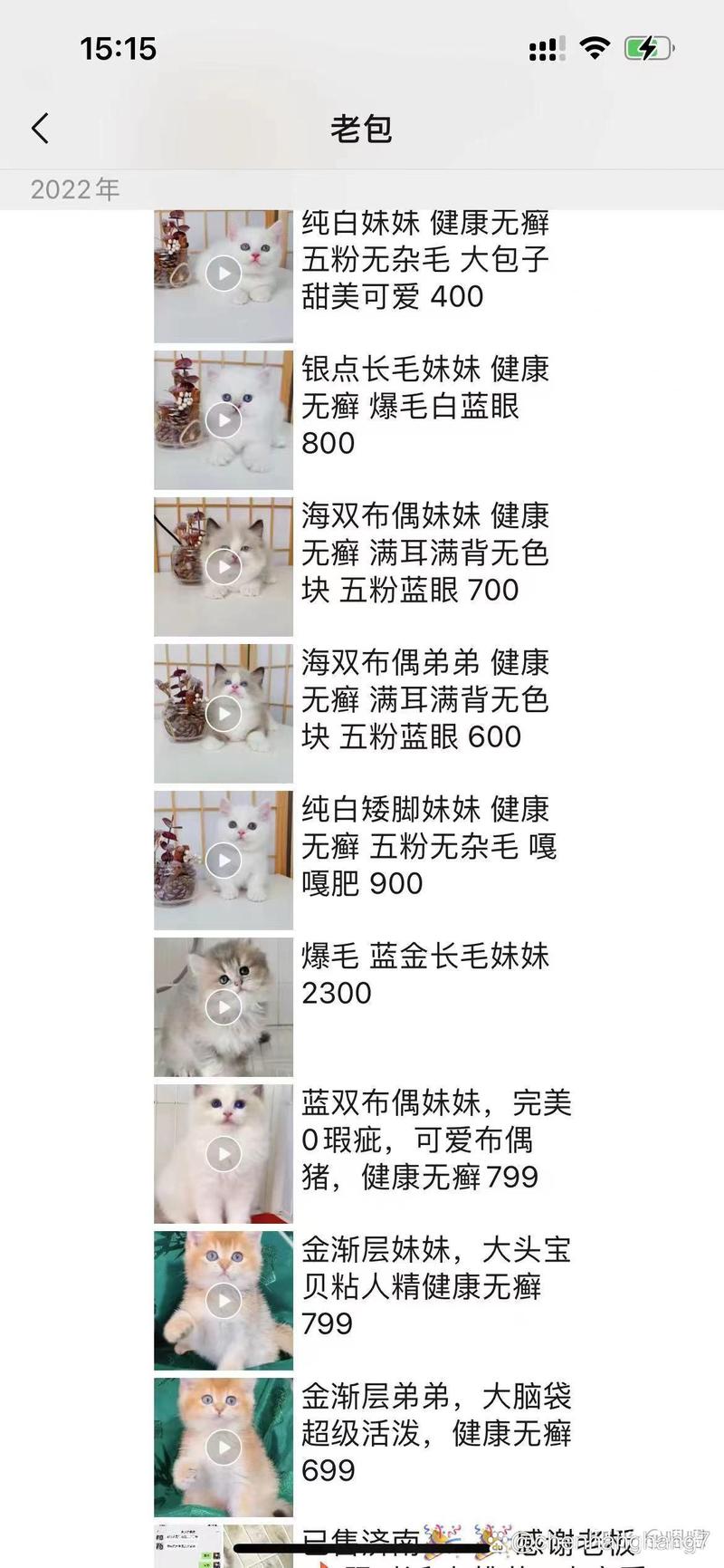 猫咪不喜欢吃猫粮_猫咪不喜欢吃猫粮的表现-第3张图片-后鲨宠物 猫咪不喜欢吃猫粮_猫咪不喜欢吃猫粮的表现-第3张图片-后鲨宠物