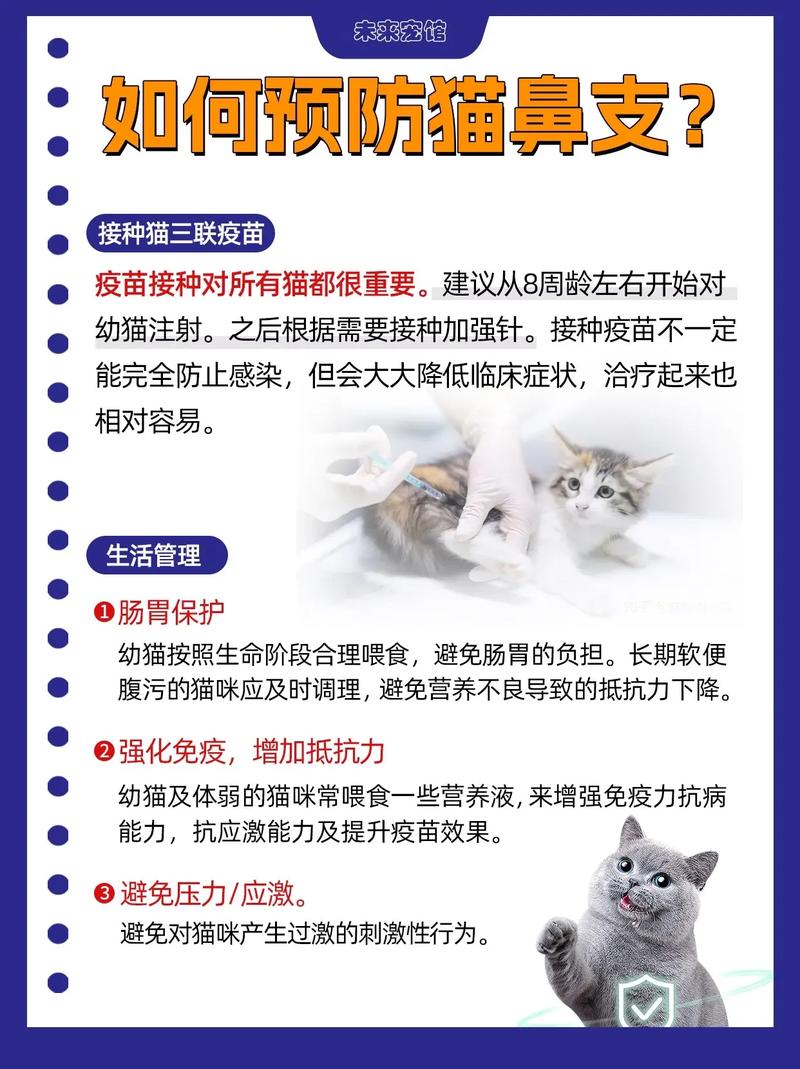 猫咪感冒多久能好,猫咪感冒多久会自愈?-第4张图片-后鲨宠物 猫咪感冒多久能好,猫咪感冒多久会自愈?-第4张图片-后鲨宠物