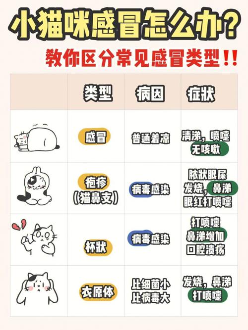 猫咪感冒多久能好,猫咪感冒多久会自愈?-第3张图片-后鲨宠物 猫咪感冒多久能好,猫咪感冒多久会自愈?-第3张图片-后鲨宠物