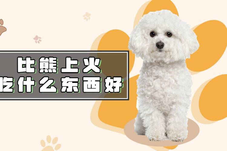 狗狗吃什么可以降火,狗狗吃什么可以降火?-第5张图片-后鲨宠物 狗狗吃什么可以降火,狗狗吃什么可以降火?-第5张图片-后鲨宠物