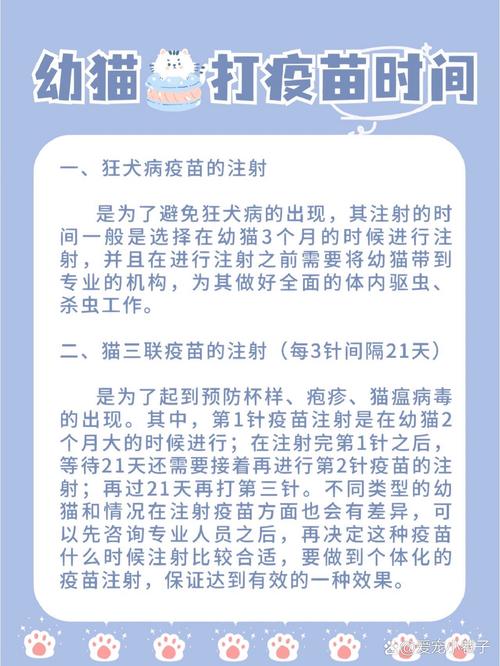 小猫咪什么时候可以打疫苗,小猫咪什么时候打疫苗最合适-第2张图片-后鲨宠物 小猫咪什么时候可以打疫苗,小猫咪什么时候打疫苗最合适-第2张图片-后鲨宠物