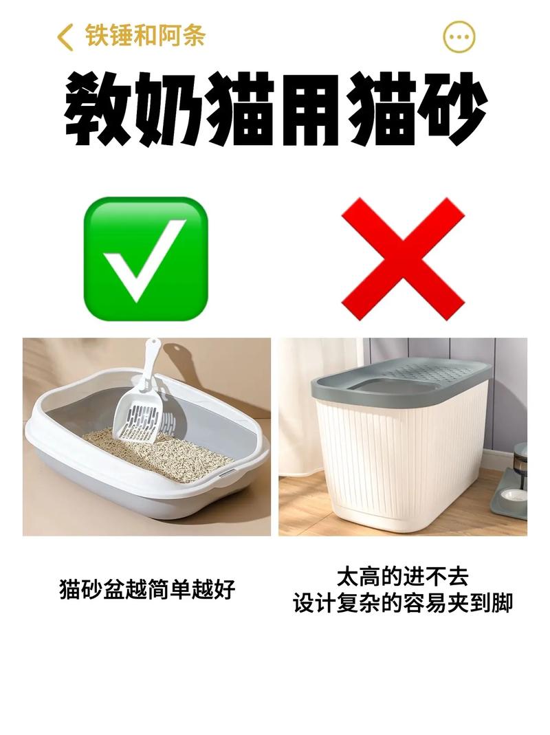 如何教猫咪用猫砂,如何教猫咪用猫砂??-第3张图片-后鲨宠物 如何教猫咪用猫砂,如何教猫咪用猫砂??-第3张图片-后鲨宠物