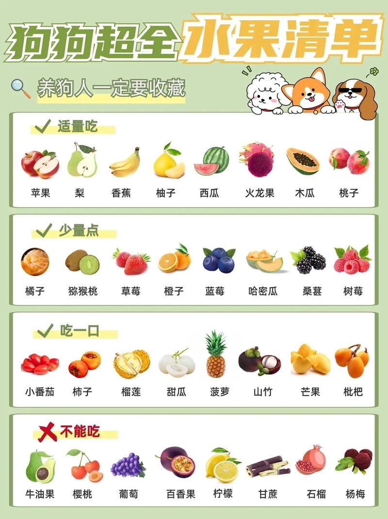 狗狗能吃水果吗_狗狗能吃水果吗泰迪-第4张图片-后鲨宠物 狗狗能吃水果吗_狗狗能吃水果吗泰迪-第4张图片-后鲨宠物