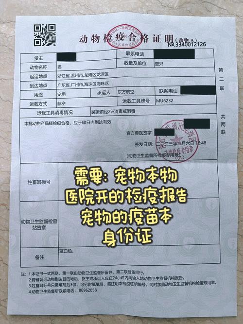 飞机托运狗狗安全吗，飞机托运狗狗安全吗知乎？-第2张图片-后鲨宠物