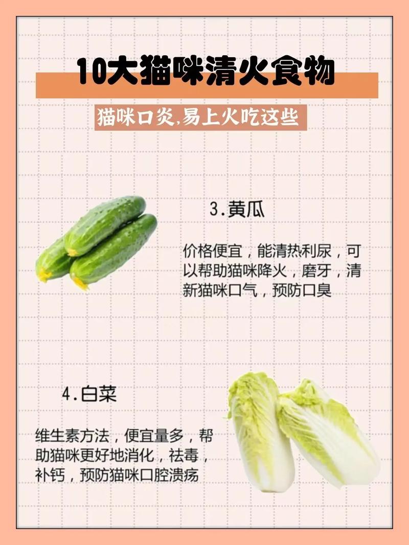  猫咪上火吃什么，猫咪上火吃什么猫粮-第2张图片-后鲨宠物