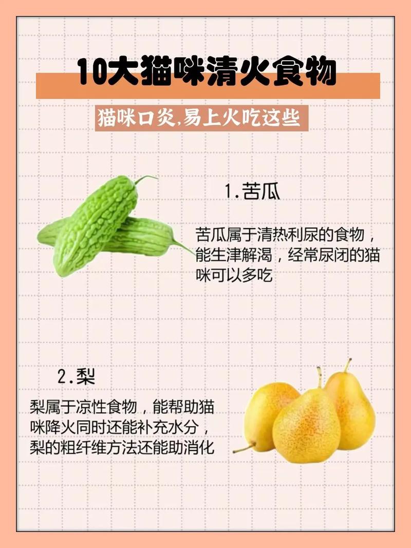  猫咪上火吃什么，猫咪上火吃什么猫粮-第6张图片-后鲨宠物