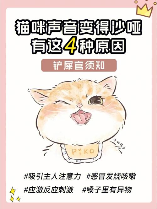 猫咪嗓子哑了吃什么药,猫咪喉咙哑了是怎么回事-第3张图片-后鲨宠物 猫咪嗓子哑了吃什么药,猫咪喉咙哑了是怎么回事-第3张图片-后鲨宠物
