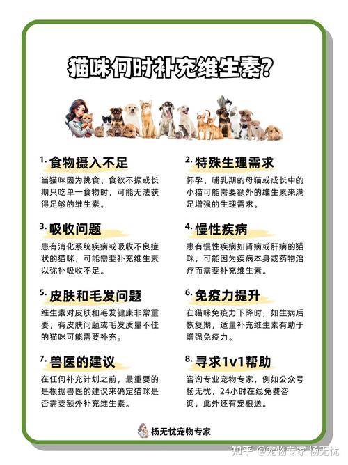 猫咪怎么补充维生素_猫咪怎么补充维生素b2-第4张图片-后鲨宠物 猫咪怎么补充维生素_猫咪怎么补充维生素b2-第4张图片-后鲨宠物