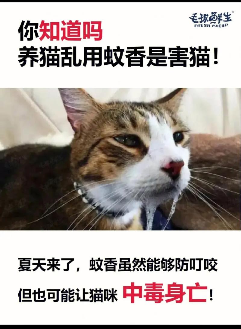 蚊香对猫咪有害吗_蚊香对猫咪有害吗知乎-第3张图片-后鲨宠物 蚊香对猫咪有害吗_蚊香对猫咪有害吗知乎-第3张图片-后鲨宠物