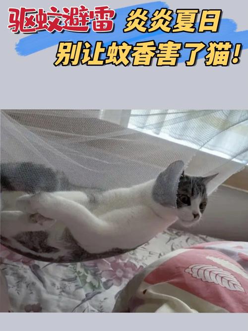 蚊香对猫咪有害吗_蚊香对猫咪有害吗知乎-第4张图片-后鲨宠物 蚊香对猫咪有害吗_蚊香对猫咪有害吗知乎-第4张图片-后鲨宠物