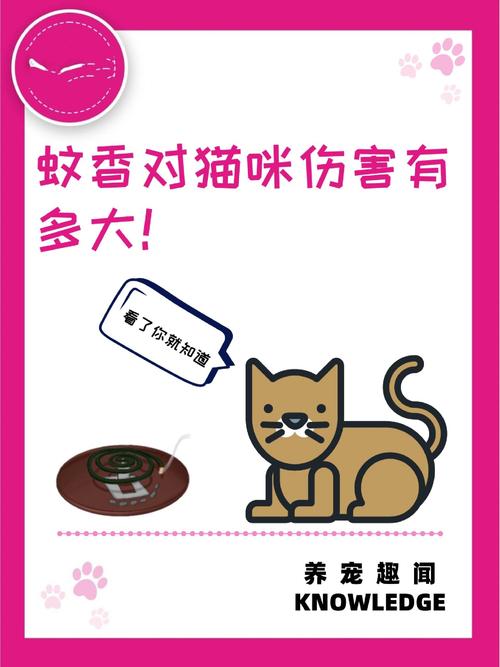 蚊香对猫咪有害吗_蚊香对猫咪有害吗知乎-第6张图片-后鲨宠物 蚊香对猫咪有害吗_蚊香对猫咪有害吗知乎-第6张图片-后鲨宠物