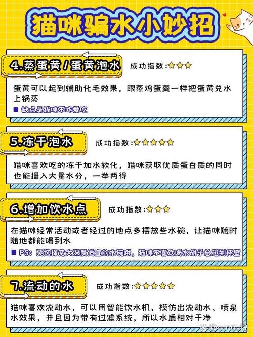 猫咪不爱喝水怎么办,猫咪不爱喝水怎么办呢-第4张图片-后鲨宠物 猫咪不爱喝水怎么办,猫咪不爱喝水怎么办呢-第4张图片-后鲨宠物