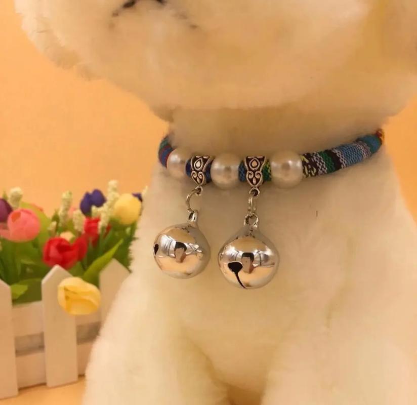 狗狗带铃铛影响听力吗,狗狗带铃铛会影响听力吗?-第4张图片-后鲨宠物 狗狗带铃铛影响听力吗,狗狗带铃铛会影响听力吗?-第4张图片-后鲨宠物