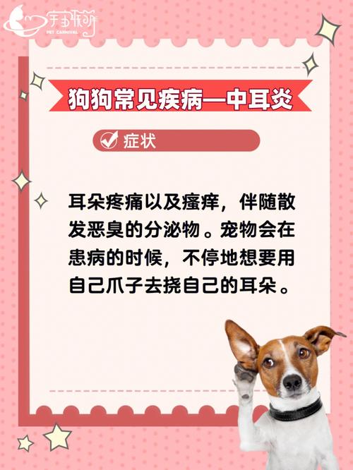 狗狗得了中耳炎怎么办_狗狗得中耳炎会自愈吗-第5张图片-后鲨宠物 狗狗得了中耳炎怎么办_狗狗得中耳炎会自愈吗-第5张图片-后鲨宠物