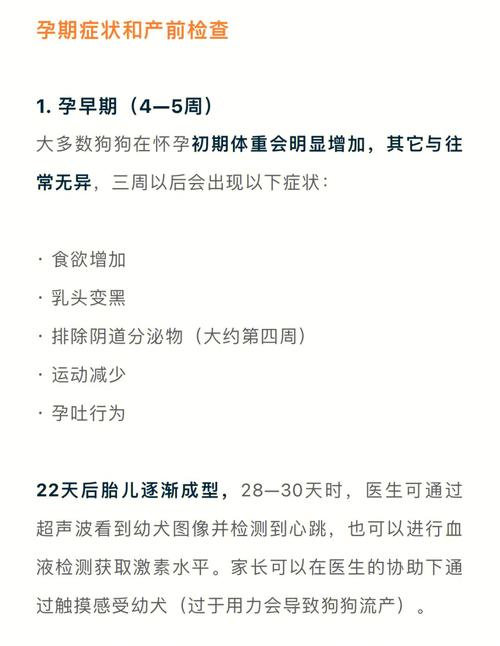 狗狗怀孕体温会升高吗_狗狗怀孕体温会升高吗-第2张图片-后鲨宠物 狗狗怀孕体温会升高吗_狗狗怀孕体温会升高吗-第2张图片-后鲨宠物
