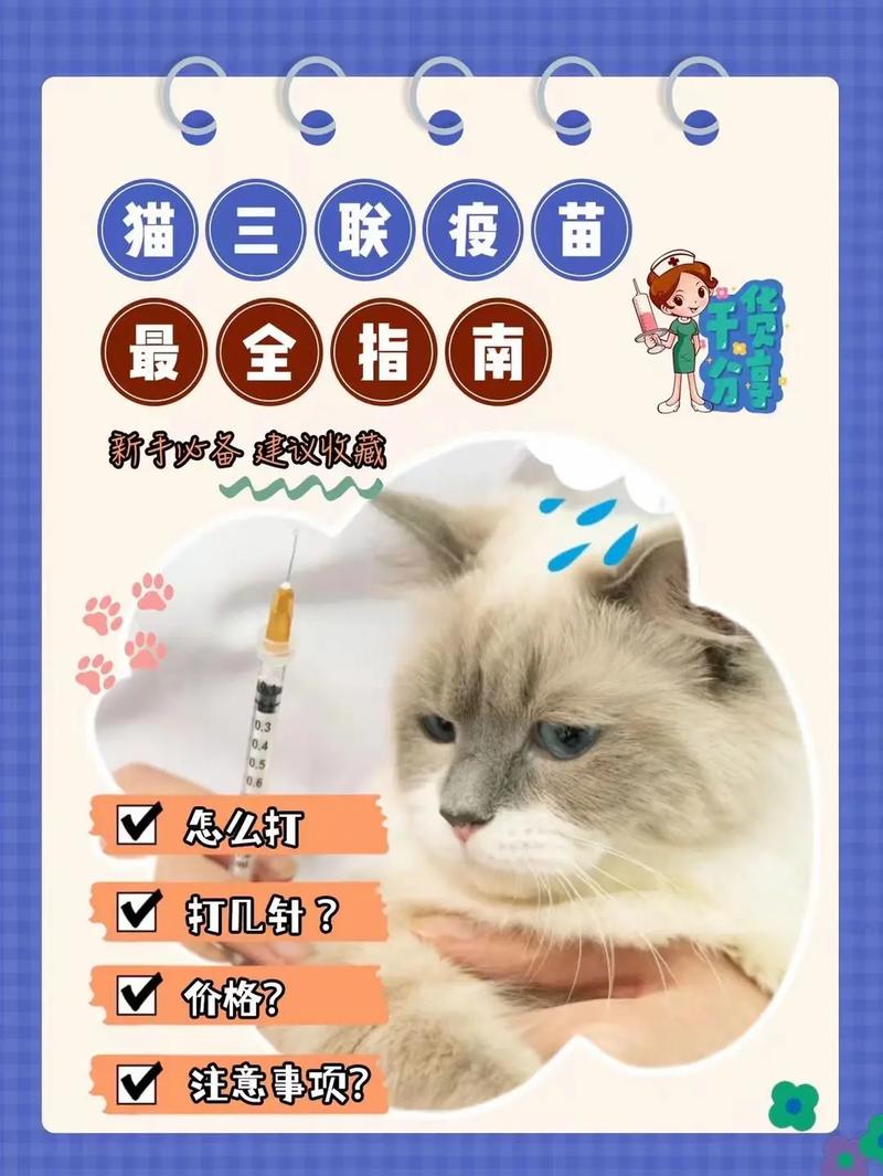 猫咪三个月打什么疫苗,猫咪三个月打什么疫苗多少钱-第5张图片-后鲨宠物 猫咪三个月打什么疫苗,猫咪三个月打什么疫苗多少钱-第5张图片-后鲨宠物