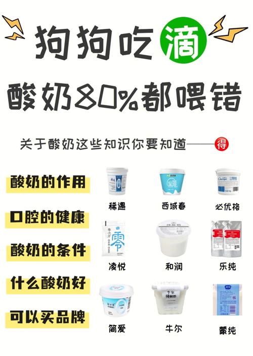 狗狗能喝什么酸奶,狗狗能喝什么酸奶比较好?-第6张图片-后鲨宠物 狗狗能喝什么酸奶,狗狗能喝什么酸奶比较好?-第6张图片-后鲨宠物