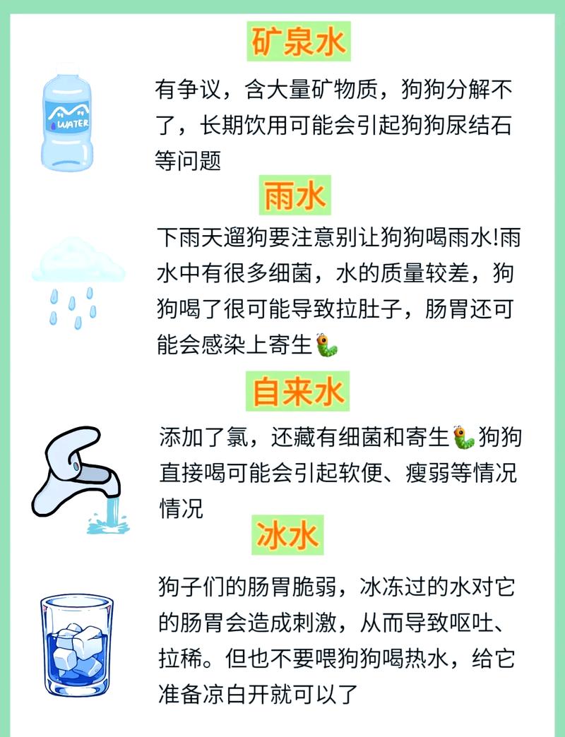 狗狗能吃白糖吗_狗狗能吃白糖吗会死吗