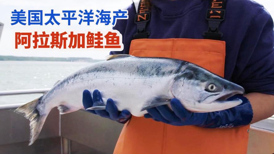 狗狗可以吃鳕鱼吗，小狗可以吃鳕鱼吗?？-第3张图片-后鲨宠物